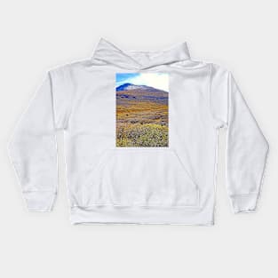 Mount Bierstadt in Autumn Kids Hoodie